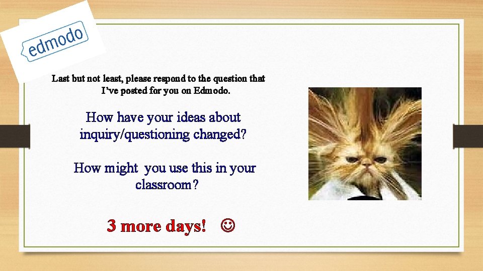 Last but not least, please respond to the question that I’ve posted for you Last but not least, please respond to the question that I’ve posted for you