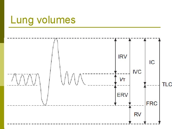Lung volumes 