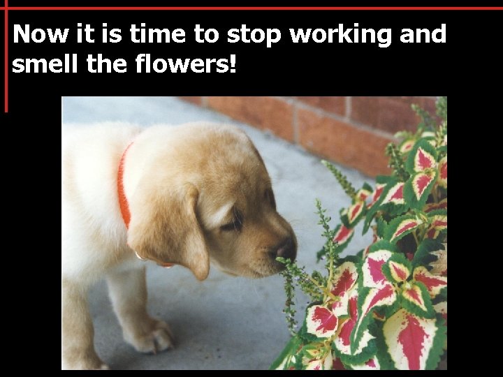 Now it is time to stop working and smell the flowers! 