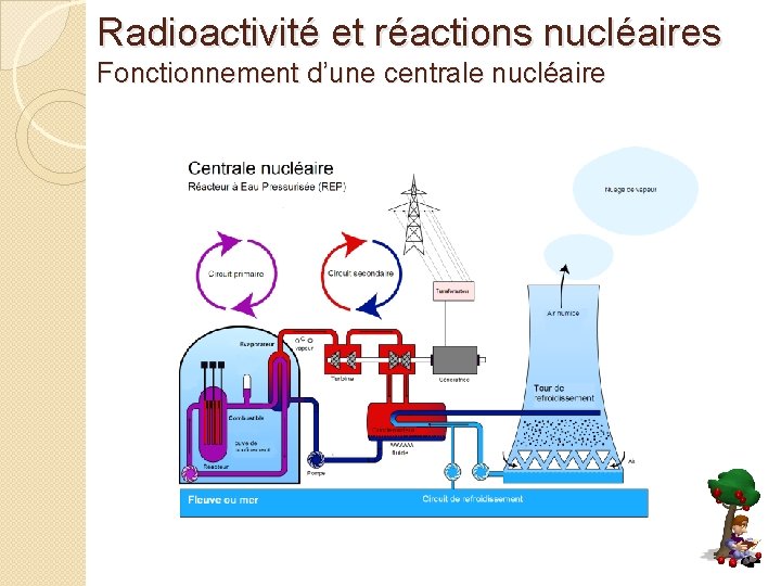 Radioactivité et réactions nucléaires Fonctionnement d’une centrale nucléaire 