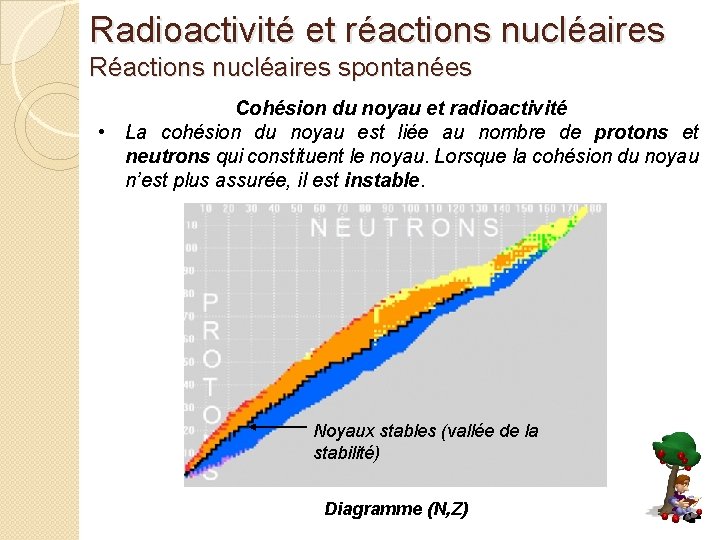 Radioactivité et réactions nucléaires Réactions nucléaires spontanées Cohésion du noyau et radioactivité • La