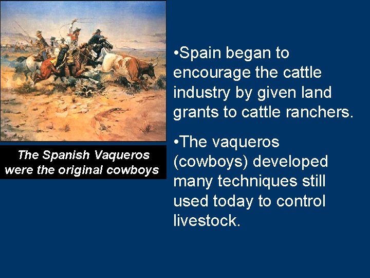  • Spain began to encourage the cattle industry by given land grants to