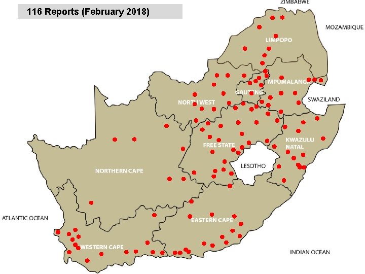 116 Reports (February 2018) 