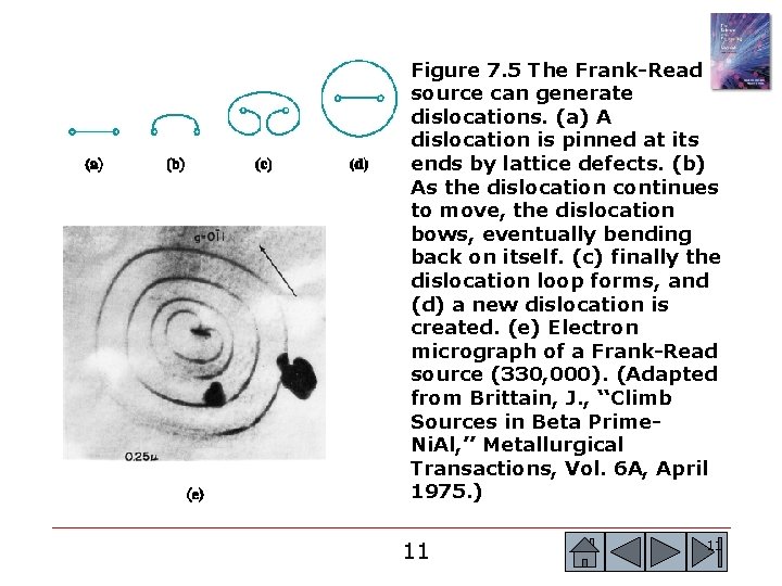 Figure 7. 5 The Frank-Read source can generate dislocations. (a) A dislocation is pinned Figure 7. 5 The Frank-Read source can generate dislocations. (a) A dislocation is pinned