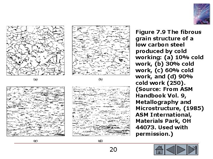 Figure 7. 9 The fibrous grain structure of a low carbon steel produced by Figure 7. 9 The fibrous grain structure of a low carbon steel produced by
