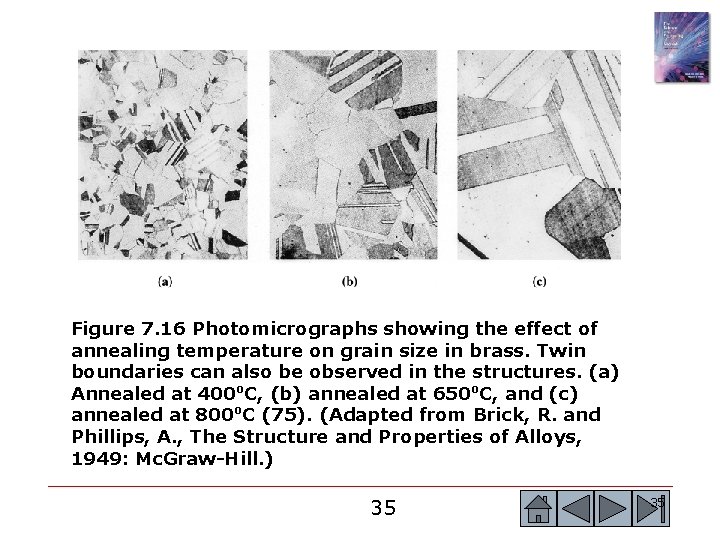 Figure 7. 16 Photomicrographs showing the effect of annealing temperature on grain size in Figure 7. 16 Photomicrographs showing the effect of annealing temperature on grain size in