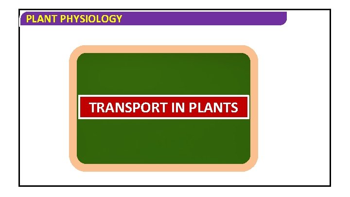 PLANT PHYSIOLOGY TRANSPORT IN PLANTS 