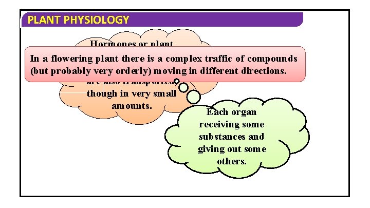 PLANT PHYSIOLOGY Hormones or plant growth In a flowering plantregulators there is a and