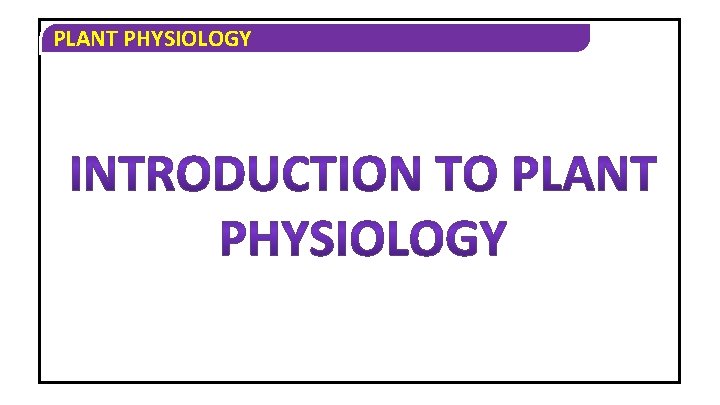 PLANT PHYSIOLOGY 