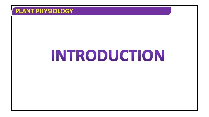 PLANT PHYSIOLOGY 