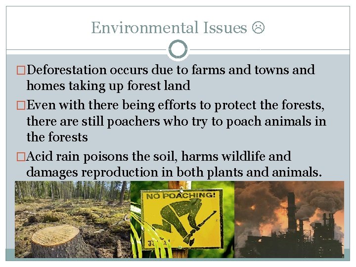 Environmental Issues �Deforestation occurs due to farms and towns and homes taking up forest