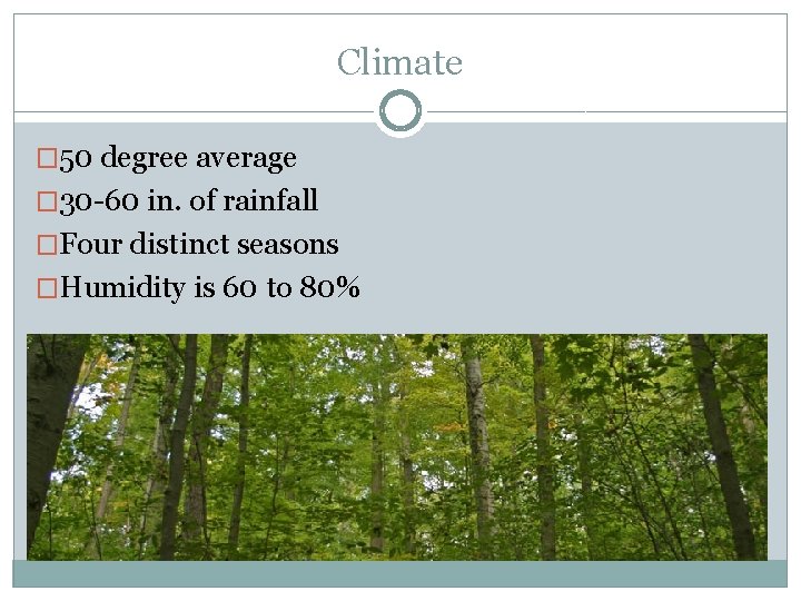Climate � 50 degree average � 30 -60 in. of rainfall �Four distinct seasons