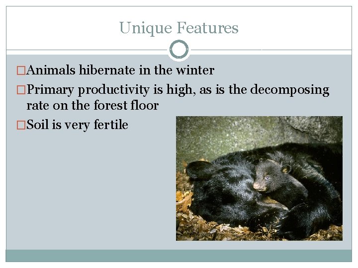 Unique Features �Animals hibernate in the winter �Primary productivity is high, as is the