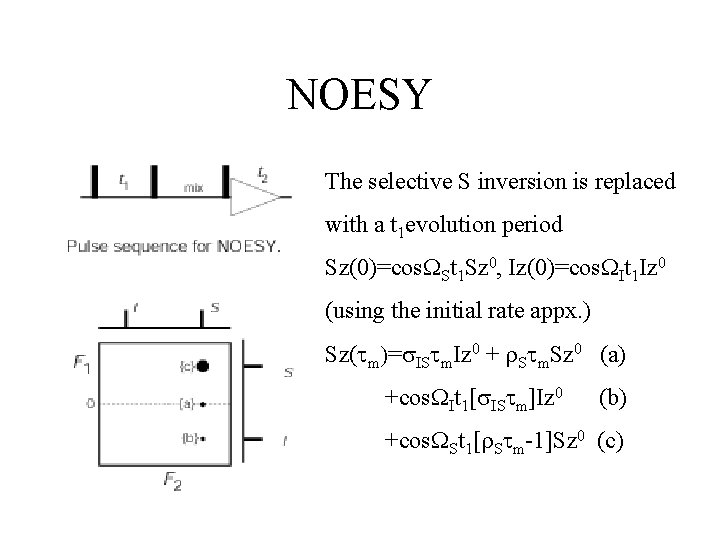 NOESY The selective S inversion is replaced with a t 1 evolution period Sz(0)=cos.