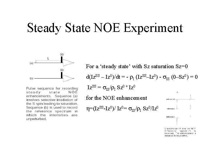 Steady State NOE Experiment For a ‘steady state’ with Sz saturation Sz=0 d(Iz. SS