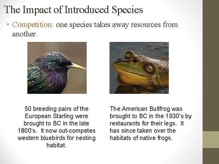 The Impact of Introduced Species • Competition: one species takes away resources from another.