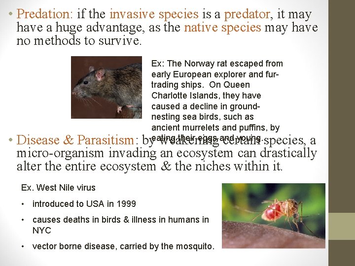  • Predation: if the invasive species is a predator, it may have a