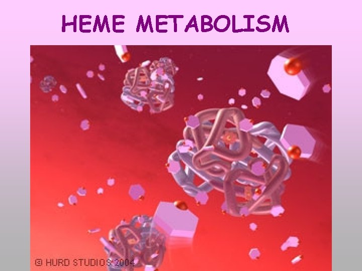 HEME METABOLISM 