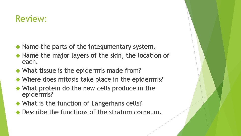 Review: Name the parts of the integumentary system. Name the major layers of the