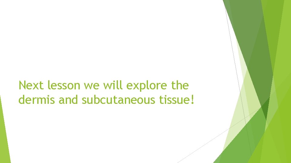 Next lesson we will explore the dermis and subcutaneous tissue! 
