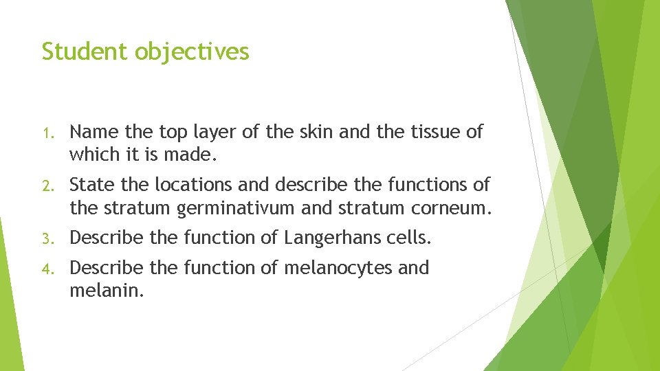Student objectives 1. Name the top layer of the skin and the tissue of