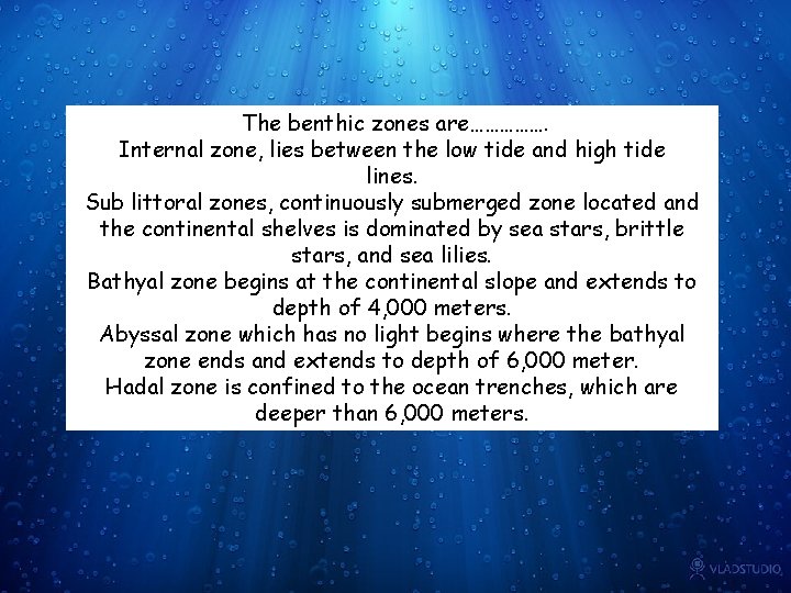 The benthic zones are……………. Internal zone, lies between the low tide and high tide