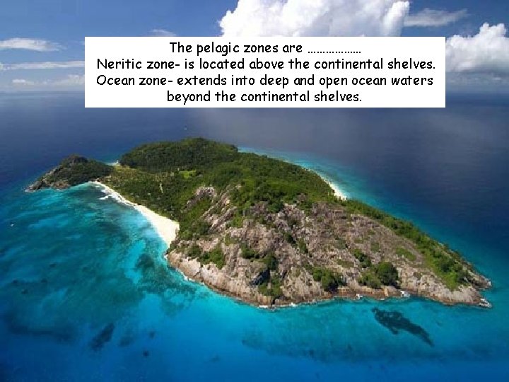The pelagic zones are ……………… Neritic zone- is located above the continental shelves. Ocean