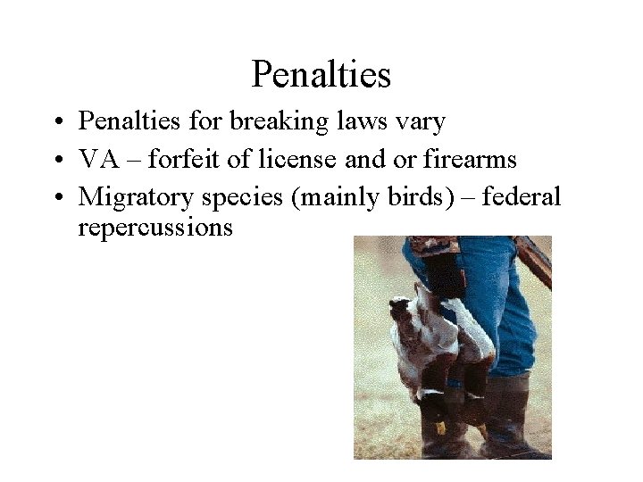 Penalties • Penalties for breaking laws vary • VA – forfeit of license and