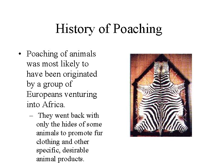 History of Poaching • Poaching of animals was most likely to have been originated