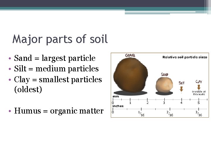 Major parts of soil • Sand = largest particle • Silt = medium particles