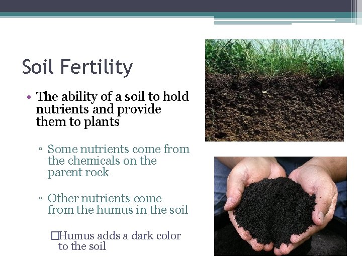 Soil Fertility • The ability of a soil to hold nutrients and provide them