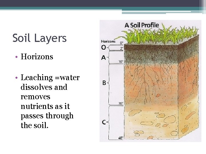 Soil Layers • Horizons • Leaching =water dissolves and removes nutrients as it passes