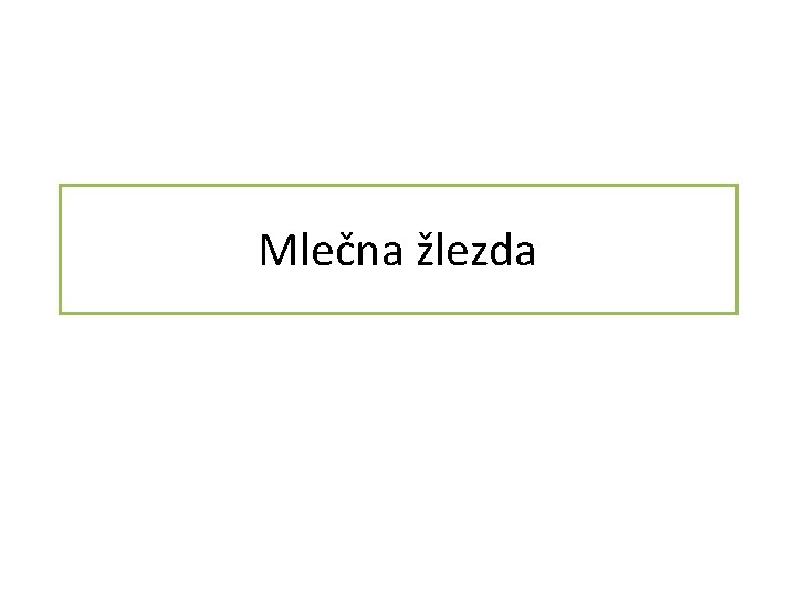 Mlečna žlezda 