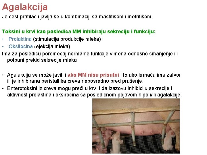Agalakcija Je čest pratilac i javlja se u kombinaciji sa mastitisom i metritisom. Toksini Agalakcija Je čest pratilac i javlja se u kombinaciji sa mastitisom i metritisom. Toksini