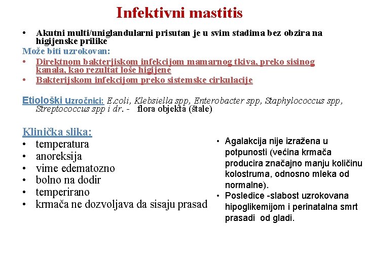 Infektivni mastitis • Akutni multi/uniglandularni prisutan je u svim stadima bez obzira na higijenske