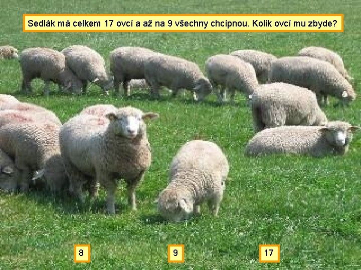 Sedlák má celkem 17 ovcí a až na 9 všechny chcípnou. Kolik ovcí mu