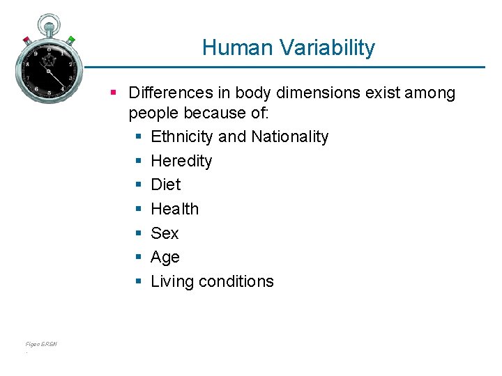 Human Variability § Differences in body dimensions exist among people because of: § Ethnicity