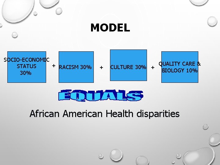 MODEL SOCIO-ECONOMIC + RACISM 30% STATUS 30% + CULTURE 30% + QUALITY CARE &