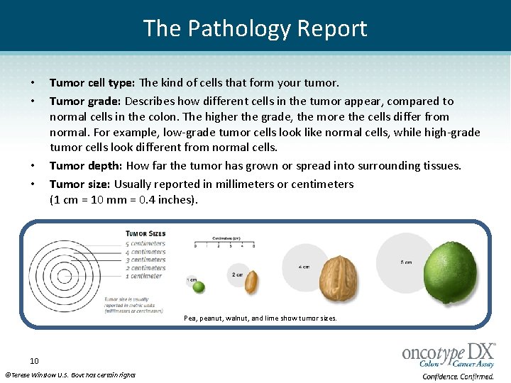 The Pathology Report • • Tumor cell type: The kind of cells that form