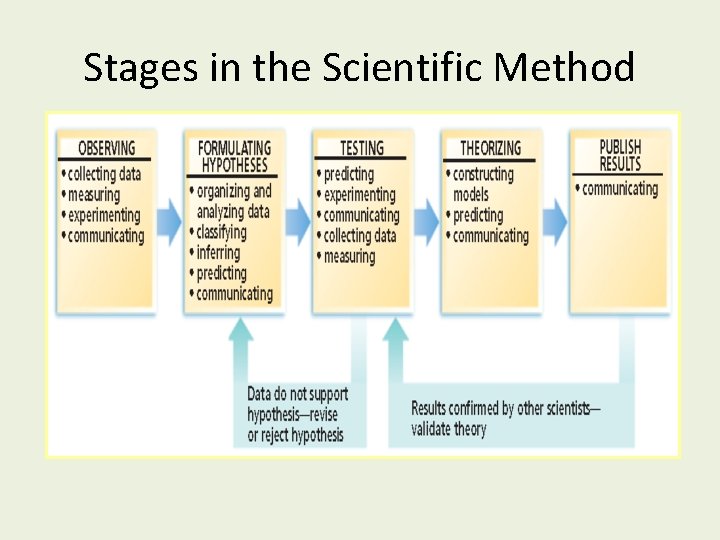 Stages in the Scientific Method 