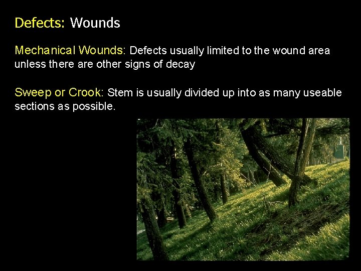 Defects: Wounds Mechanical Wounds: Defects usually limited to the wound area unless there are