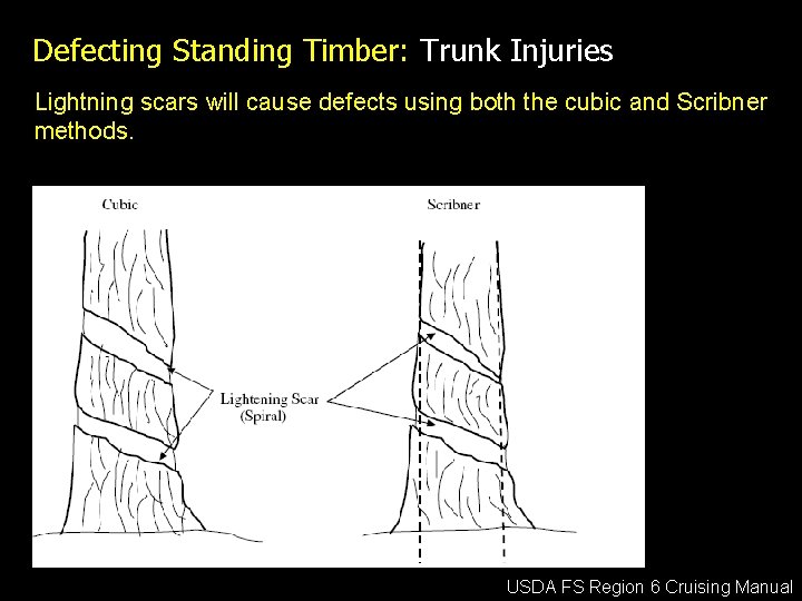 Defecting Standing Timber: Trunk Injuries Lightning scars will cause defects using both the cubic