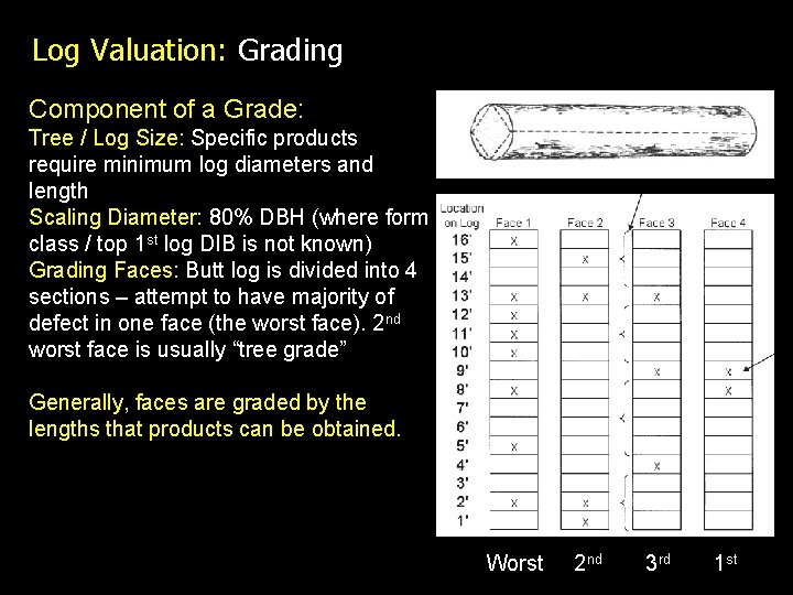 Log Valuation: Grading Component of a Grade: Tree / Log Size: Specific products require