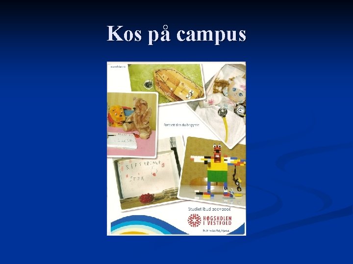 Kos på campus 