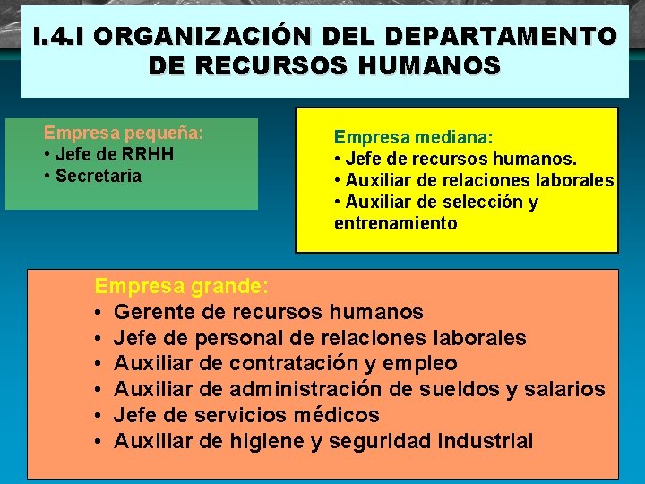 I. 4. I ORGANIZACIÓN DEL DEPARTAMENTO DE RECURSOS HUMANOS Empresa pequeña: • Jefe de I. 4. I ORGANIZACIÓN DEL DEPARTAMENTO DE RECURSOS HUMANOS Empresa pequeña: • Jefe de