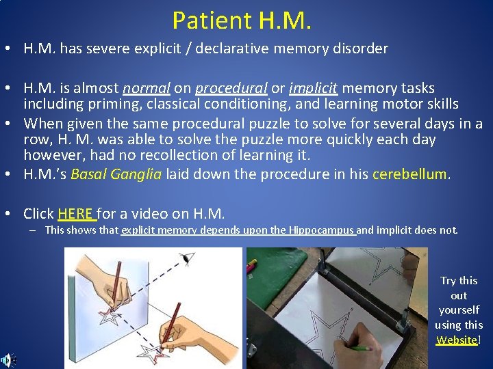 Patient H. M. • H. M. has severe explicit / declarative memory disorder •