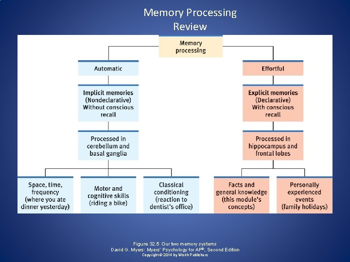 Memory Processing Review Figure 32. 5 Our two memory systems David G. Myers: Myers’