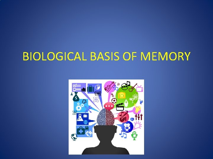 BIOLOGICAL BASIS OF MEMORY 