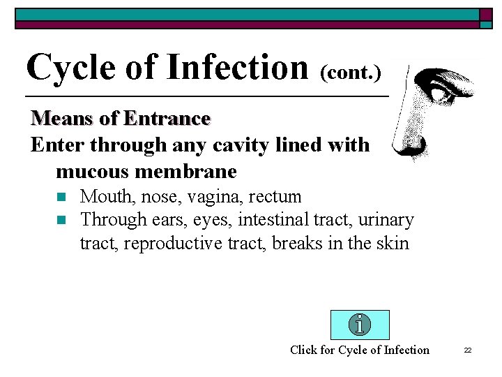 Cycle of Infection (cont. ) Means of Entrance Enter through any cavity lined with
