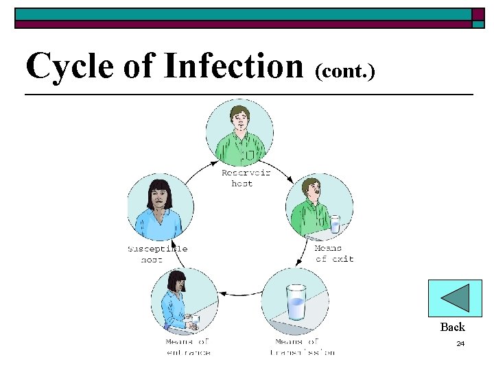 Cycle of Infection (cont. ) Back 24 